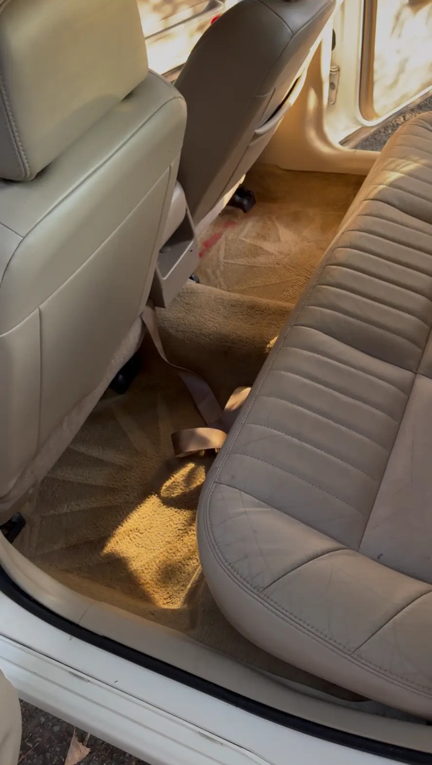 Family sedan back seat and carpet - after